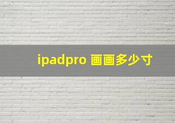 ipadpro 画画多少寸